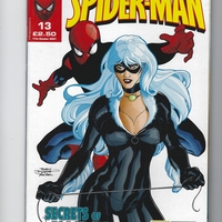 The Astonishing Spiderman 13 secrets of the black cat