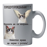 Бяла керамична чаша - Grumpy Cat 49