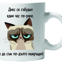 Керамична бяла чаша - Grumpy Cat 57