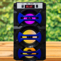 Колона MS-703BT - навсякъде с вас!