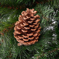 Елха естествено зелена с шишарки