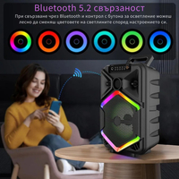 Преносима тонколона с микрофон, 8.5 инча, 1800 mAh батерия, 10W мощност WSJAR E8132W