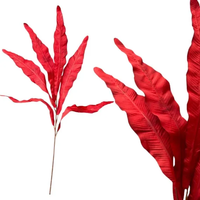 Червена клонка  с дълги листа