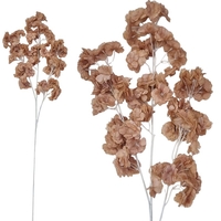 ЧЕРЕШОВ КЛОН