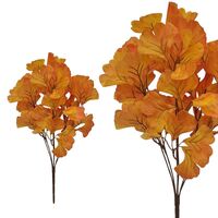 Стрък гинкобилоба