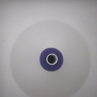 конец за шиене