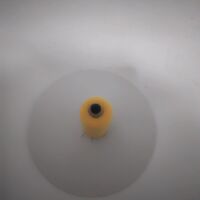 конец за шиене