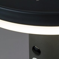 Соларн LED аплик за фасада и тераса с датчик за движение, 10W, 4000K, антрацит, IP44