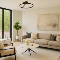 Модерен LED плафон черен/златен, 24W3000K