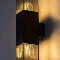 Двоен външен аплик Loanda E27 – стилно фасадно осветление с кафяв прозиращ абажур и IP44 защита