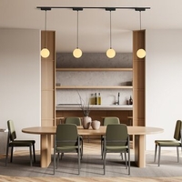 LED висящо релсово осветление – 5W, топло бяло 3000K, черен алуминий и стъклен абажур