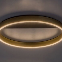 Модерен LED таванен плафон 20W с топло бяла светлина – черен/златен