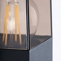 Стилен външен аплик Loanda E27 – модерно фасадно осветление с кафяв прозиращ абажур и IP44 защита