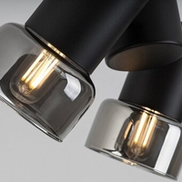 Модерен двоен спот – E14, 2xMAX15W, IP20, черен метал, стъкло с димен цвят