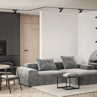 Алуминиева релса - шина за релсово осветление – 1 м, черен цвят, DC 24V