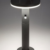 Соларен LED градински стълб с датчик за движение, 10W, 4000K, антрацит, IP44