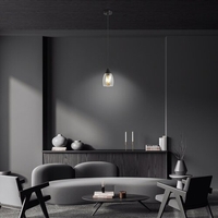 Модерен висящ полилей с 1 светлоизточник – черен с димно стъкло
