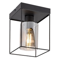 Модерен таванен плафон 1xE27 – черен метал и прозиращо кафяво стъкло