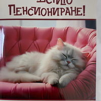 Забавна картичка за пенсиониране с плик