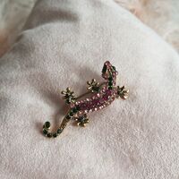 Брошка саламандар