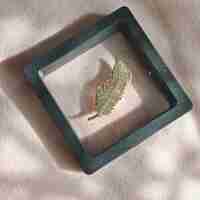 Брошка перо