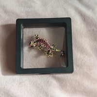 Брошка саламандар