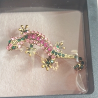 Брошка саламандар