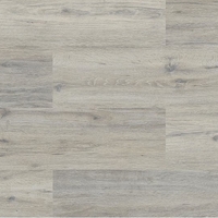 Aspecta - Allure Premium - SPC Gotham Argento 5.2мм