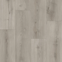 Floor V - SPC Floor V Essentials WIRB 22510 - 5мм