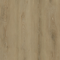 Floor V - SPC Floor V Essentials WIRB 22092 - 5мм