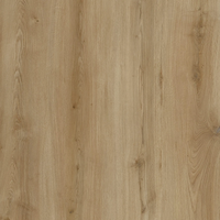 Floor V -  SPC Floor V Essentials WIRB 22512 - 5мм