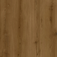 Floor V - SPC Floor V Essentials WIRB 22425 - 5мм