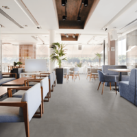 Aspecta - Elemental - SPC Grace 5.2мм