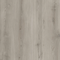 Floor V - SPC Floor V Essentials WIRB 22510 - 5мм