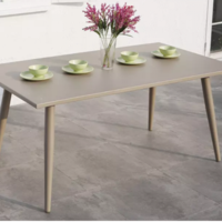 МАСА ГРАДИНСКА АЛУМИЕВА