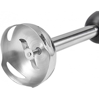 Пасатор с миксер 4в1 1604