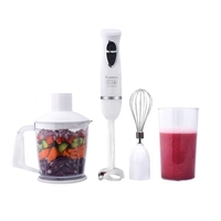 Пасатор с миксер 4в1 1604