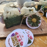 Сапун с луфа