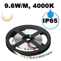 LED ЛЕНТА, 9.6W/M, 4000K, 12V DC, SMD2835, 120 LEDS/M, IP65