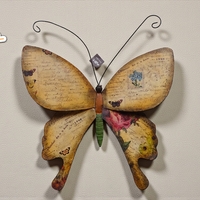 Пеперуда за стена (3954707)