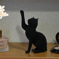 Котка (4837496)