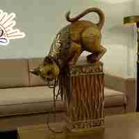 Любопитна Котка (4348264)