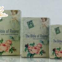 Фотоалбум 3 кутии (4759376)