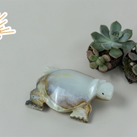 ОНИКС Костенурка  (5300001)