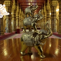 Семейство Слонове (4342859)