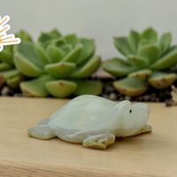 ОНИКС Костенурка (5300000)