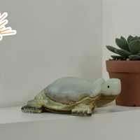 ОНИКС Костенурка  (5300001)