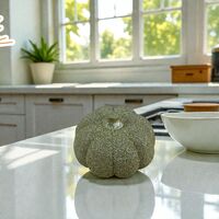 Тиква Сувенир (9947153)