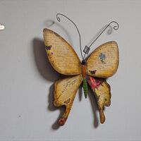 Пеперуда за стена (3954707)