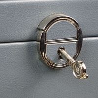 Кутия за бижута (8847110)